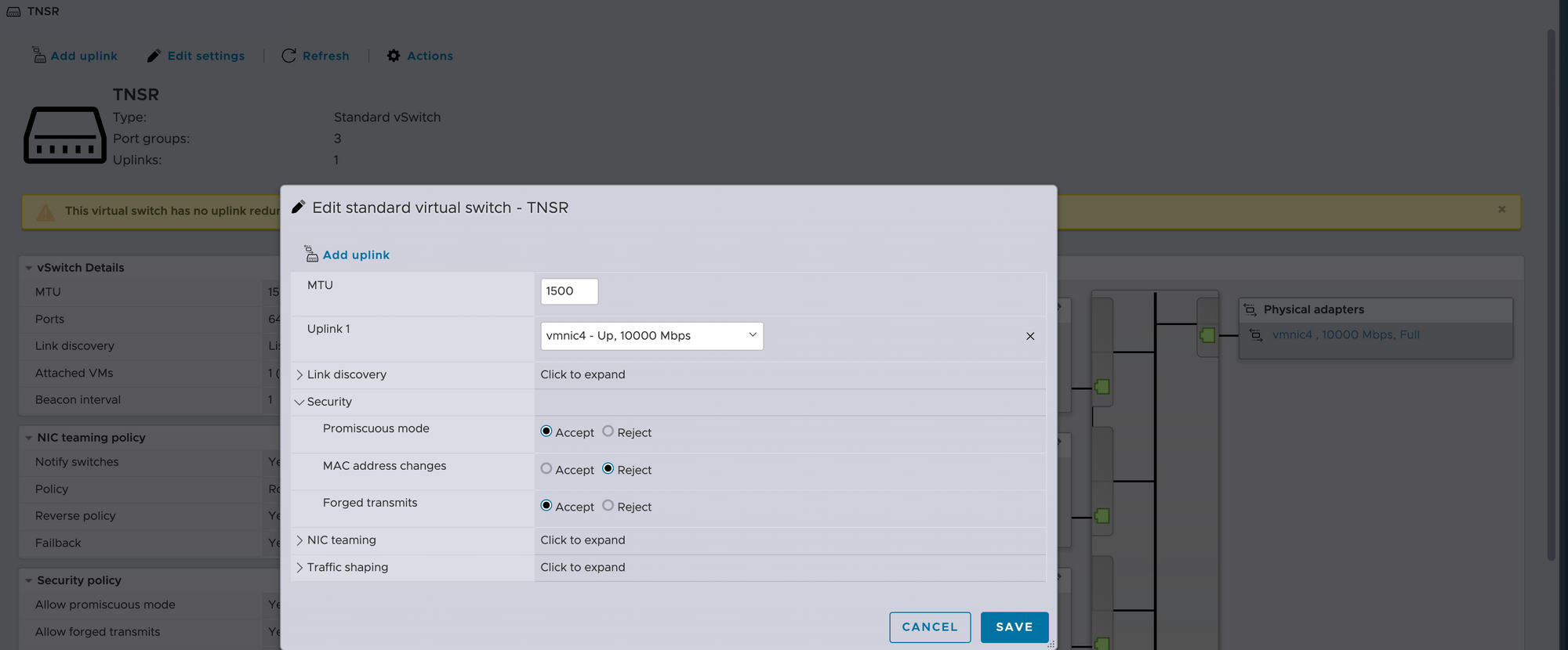 vSwitch for the incoming connection from TNSR