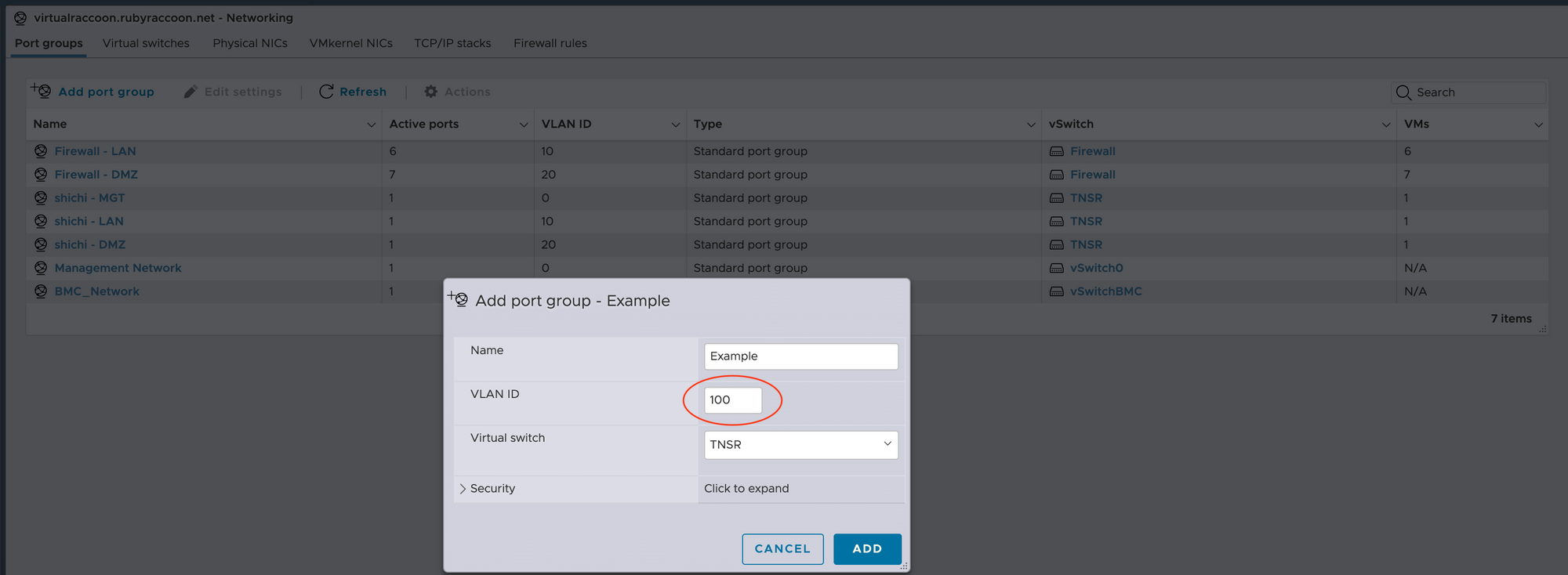 R330 - ESXi Port Groups